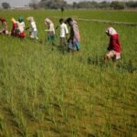 Dwarka: ઓખા બંદરે કોસ્ટગાર્ડ જેટીનો પિલ્લર તૂટ્યો, 3 શ્રમિકો દરિયામાં પડ્યા