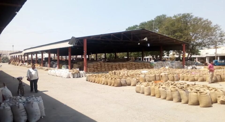 Junagadh Marketing Yard