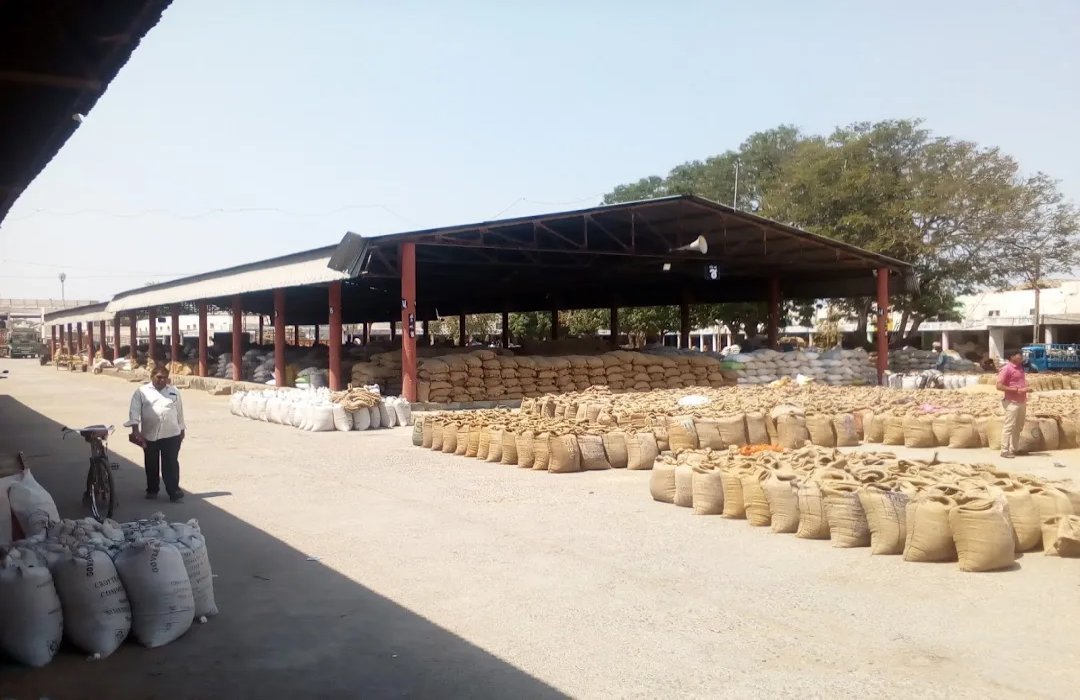 Junagadh Marketing Yard