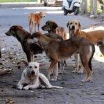 એક્શન શરૂઃ  BU પરમિશન વિના ચાલતી 9 હોસ્પિટલ સીલ