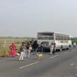 Porbandar: પંથકના ખેડૂતોએ લીધી પ્રાકૃતિક ખેતીની તાલીમ, સ્વદેશી સ્વીકારવા કર્યો સંકલ્પ