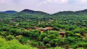 Aravalli Hills