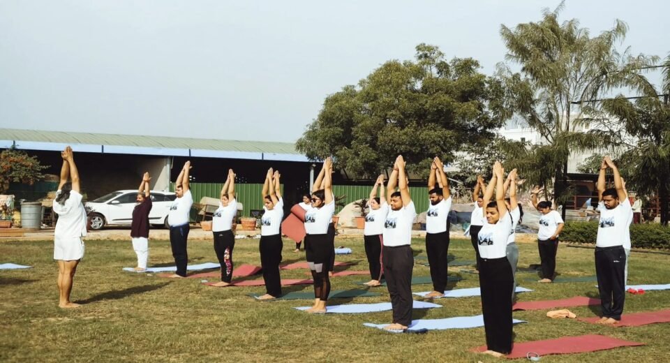 Yog Board Suryanamaskar