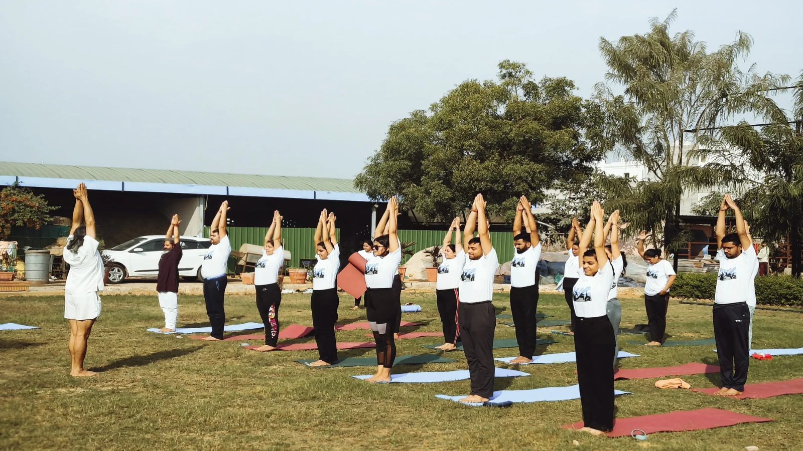 Yog Board Suryanamaskar