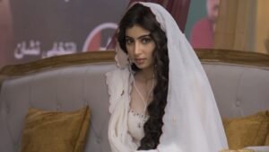 Dhurandhar total collection