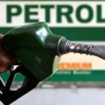 Gondal News: અમિત ખૂંટ આપઘાત કેસમાં રાજદીપસિંહ જાડેજાના જામીન મંજૂર, 72 દિવસ બાદ જેલમુક્ત