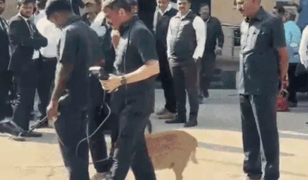 સુરતની જિલ્લા કોર્ટને બોમ્બથી ઉડાવી દેવાની ધમકી