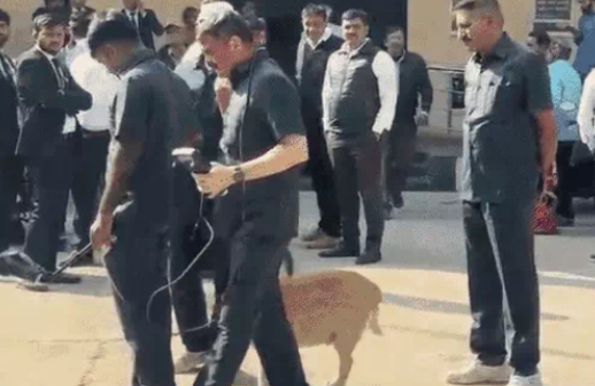 સુરતની જિલ્લા કોર્ટને બોમ્બથી ઉડાવી દેવાની ધમકી