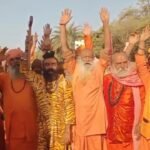 Amreli: હેમાળ ગામમાં સિંહણને કચડીને ફરાર થનારો આરોપી અમદાવાદથી ઝડપાયો