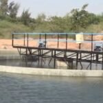 Business: આજે પેટ્રોલ અને ડિઝલના ભાવમાં કેટલો વધારો થયો? જાણો અમદાવાદ સહિતના શહેરોમાં શું છે આજનો રેટ