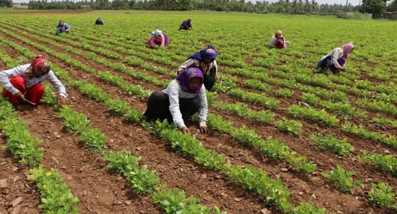 Gujarat Weather Abalal patel