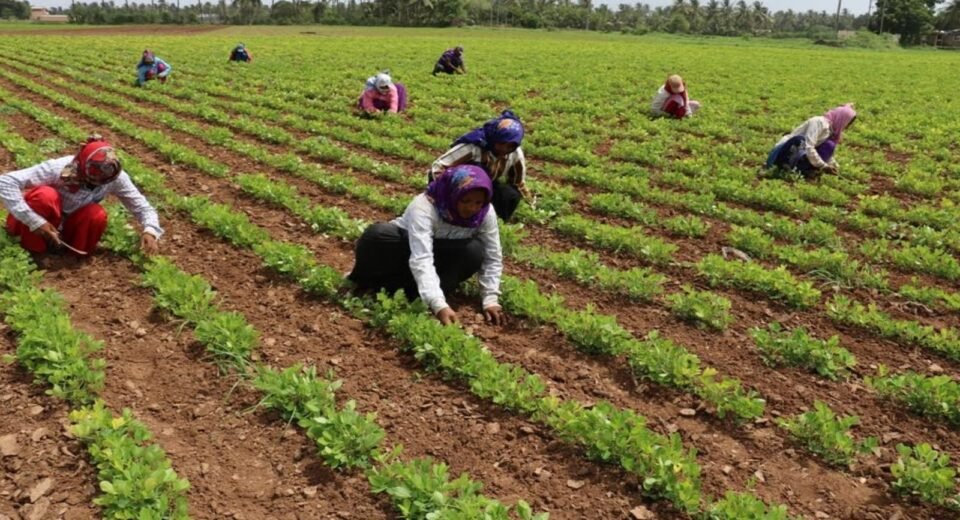 Gujarat Weather Abalal patel