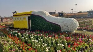 Ahmedabad Flower Show 2026