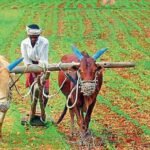 #UnionBudget2026: નવા ઇન્કમ ટેક્સ સ્લેબ આ વર્ષેથી જ લાગુ થશે, ટેકસ ગોટાળામાં સજાને બદલે હવે દંડ કરાશે