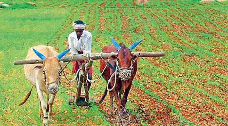 #UnionBudget2026: કેન્દ્રિય બજેટમાં ખેડૂતો માટે શું જોગવાઈ કરવામાં આવી, સરકારનું મોટું લક્ષ્ય શું છે?