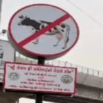 Patan News: યુનિવર્સિટીમાં MA સેમેસ્ટર-3ના પેપર ચેકિંગમાં ગોલમાલ, પ્રોફેસરે લખાણ વાંચ્યા વિના જ માર્કસ આપ્યા