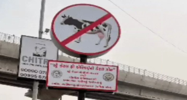 Ahmedabad News: શહેરમાં 12 વિસ્તારો નો કેટલ ઝોન જાહેર, રોડ પર ઢોર દેખાશે તો પોલીસ ફરિયાદ થશે