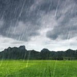 AAPમાં ભડકો: શું રાઘવ ચઢ્ઢાની પાંખો કાપી નાખવામાં આવી? જાણો લંડન કનેક્શનથી લઈને પદ છીનવાવા સુધીની અંદરની વાત