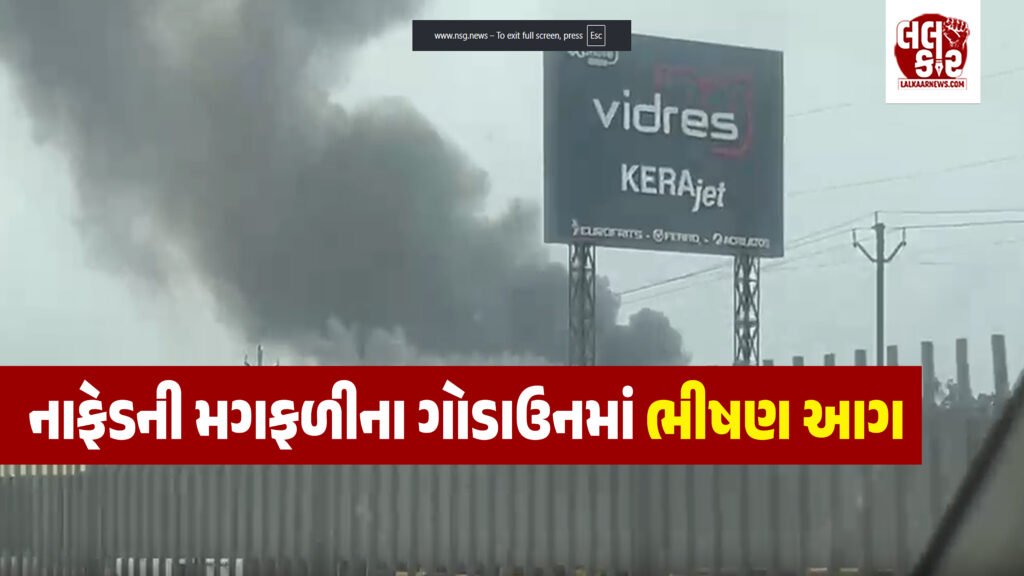 મોરબી બ્રેકિંગ: રફાળેશ્વર ગામે નાફેડની મગફળીના ગોડાઉનમાં લાગી ભીષણ આગ, 1.59 લાખ બોરીનો જથ્થો જોખમમાં