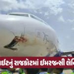 પૂરગ્રસ્તો માટે ‘Prime UAV’ બન્યું દેવદૂત: મહેસાણાના સ્ટાર્ટઅપથી પહોંચાડાયા ફૂડ પેકેટ્સ