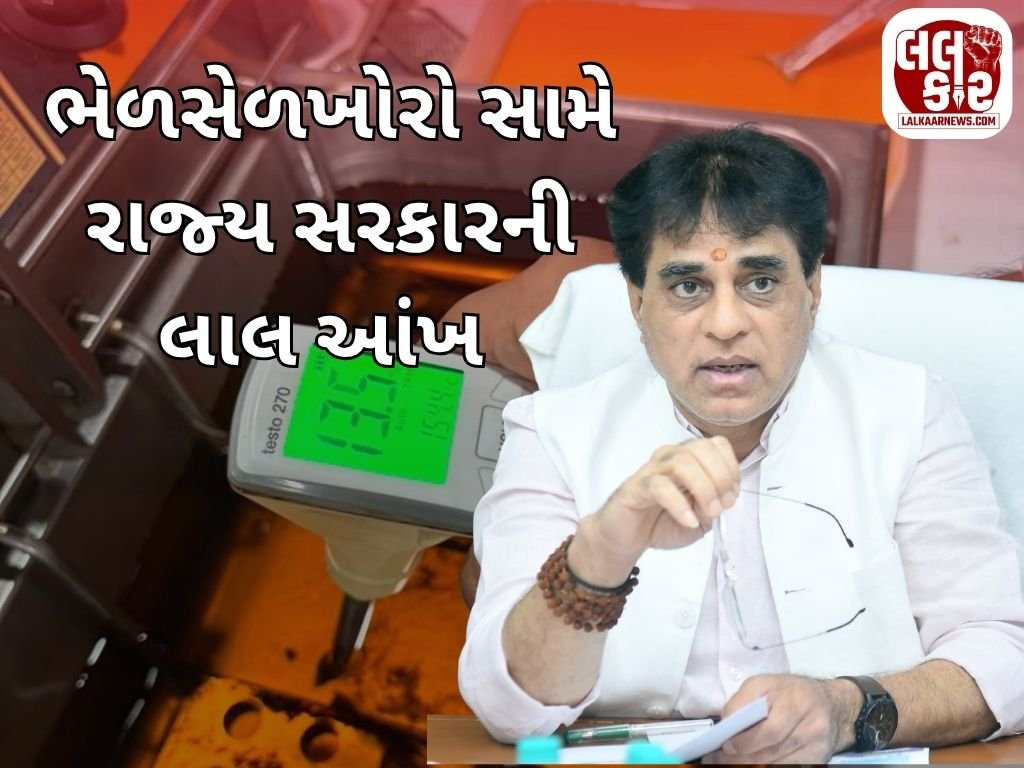ભેળસેળખોરો સામે રાજ્ય સરકારની લાલ આંખ: નવરાત્રિમાં મોબાઈલ ફૂડ સેફ્ટી વાનથી થશે સરપ્રાઈઝ ચેકિંગ!